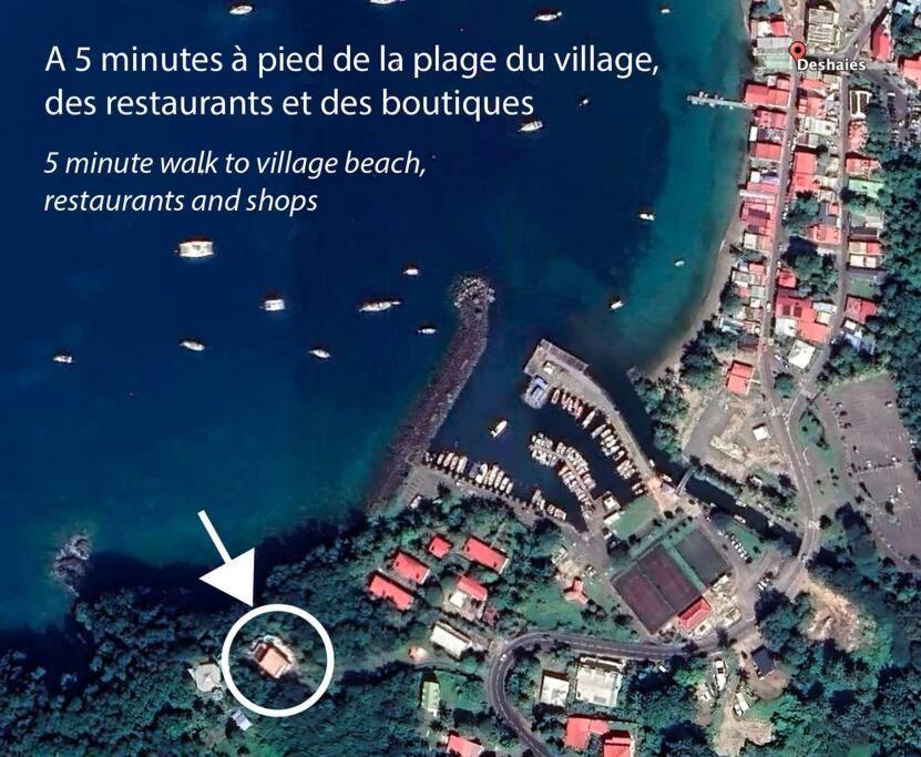 Villa "The Pretty Mermaid", Pool And Stunning Views 5 Min From Beach Deshaies Eksteriør billede