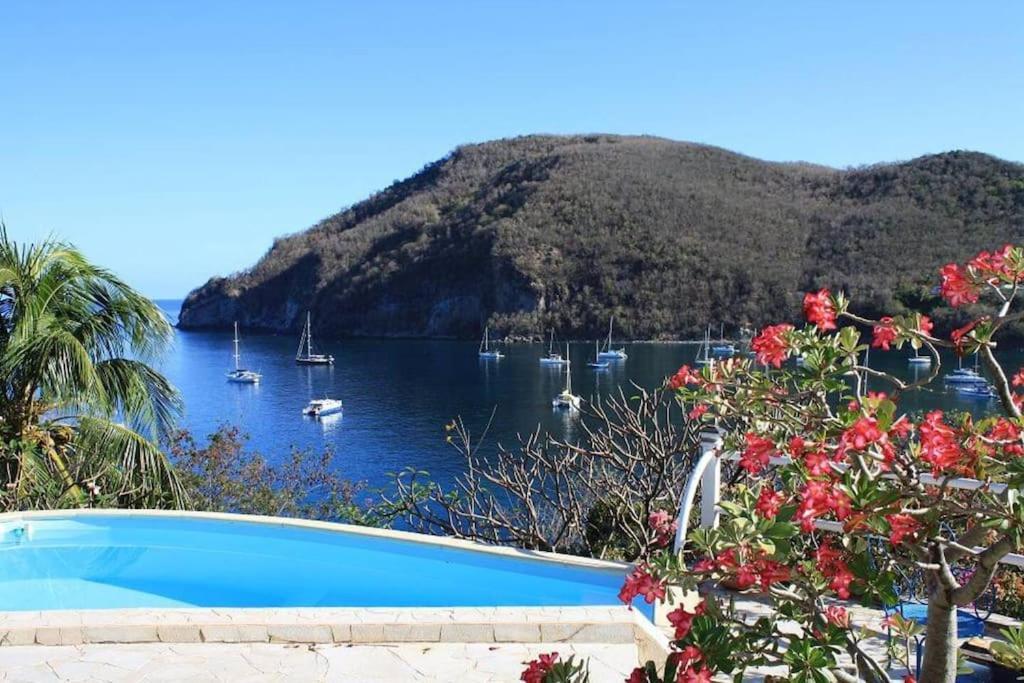 Villa "The Pretty Mermaid", Pool And Stunning Views 5 Min From Beach Deshaies Eksteriør billede